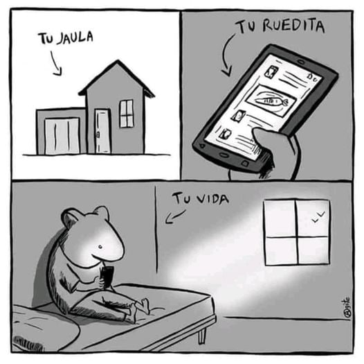 Tu jaula, tu ruedita